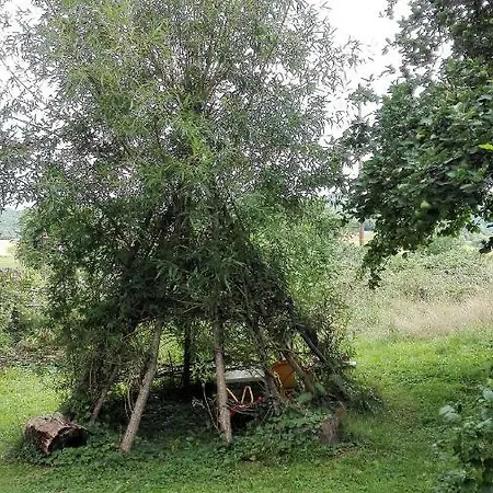Rheinhoehe Apartment